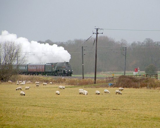 Union of South Africa passing Milton 2007-12-09