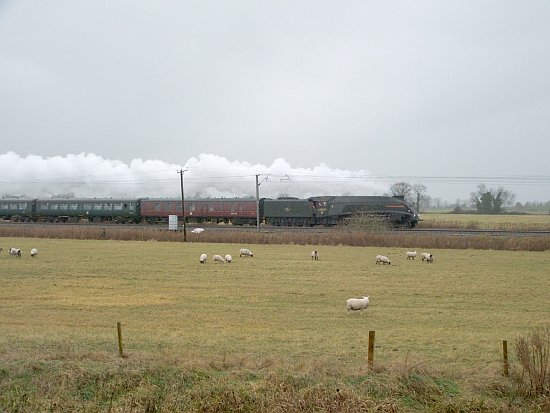 Union of South Africa passing Milton 2007-12-09