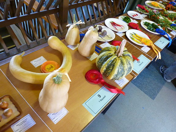Entries in the Milton Country Park Produce Show 2009