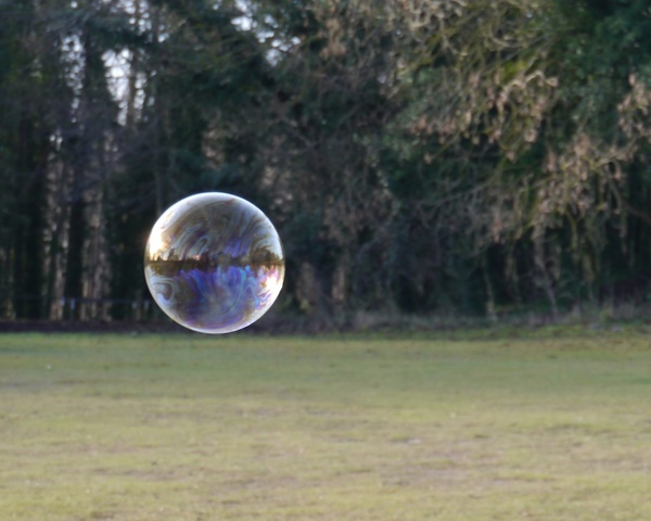 Bubble (C) 2014 Sally Milligan
