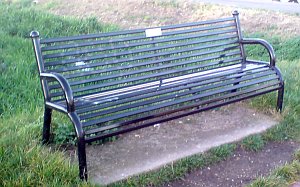 Memorial bench on the Cam